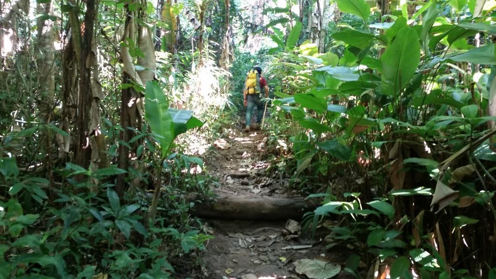 2018-11-27 10.04.11.jpg