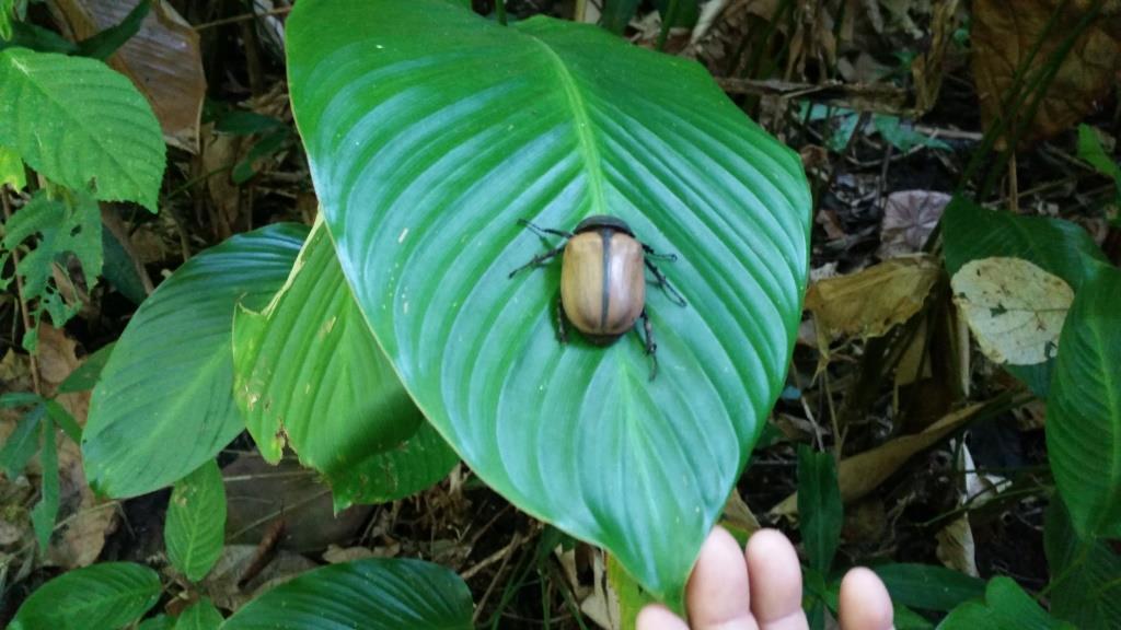 2018-11-27 10.04.31-1.jpg