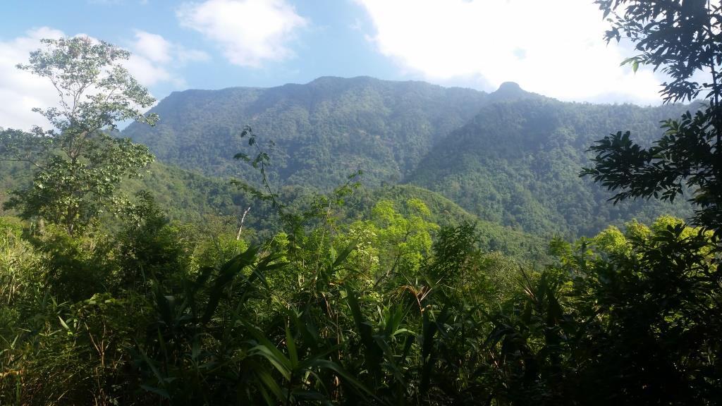 2018-11-27 12.20.44.jpg