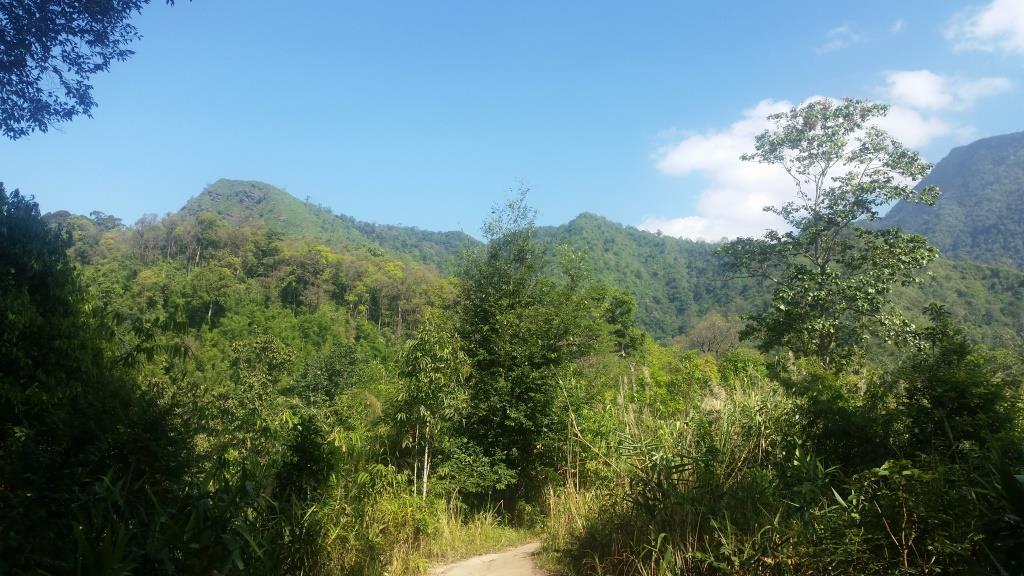 2018-11-27 12.20.51-1.jpg