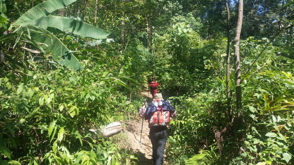 2018-11-27 12.31.22-1.jpg