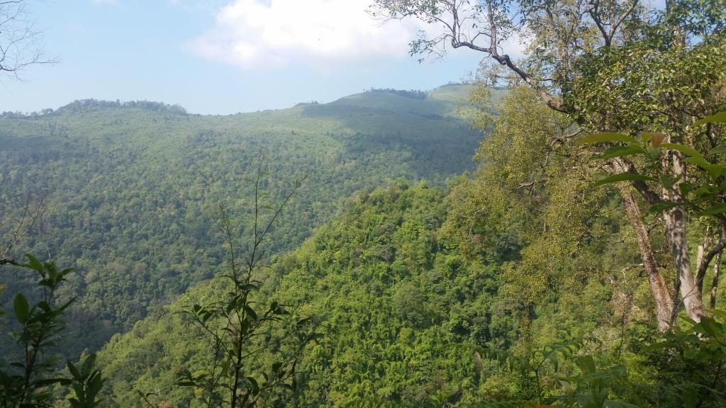 2018-11-27 13.15.19-1.jpg