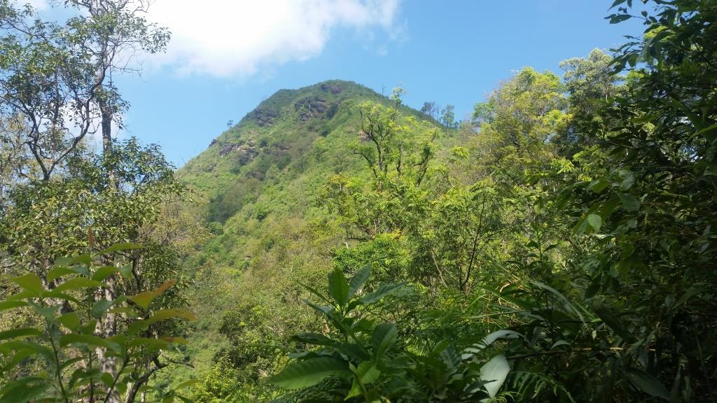 2018-11-27 13.15.48.jpg