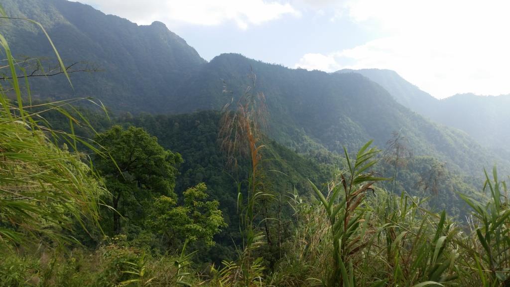 2018-11-27 13.34.09-1.jpg