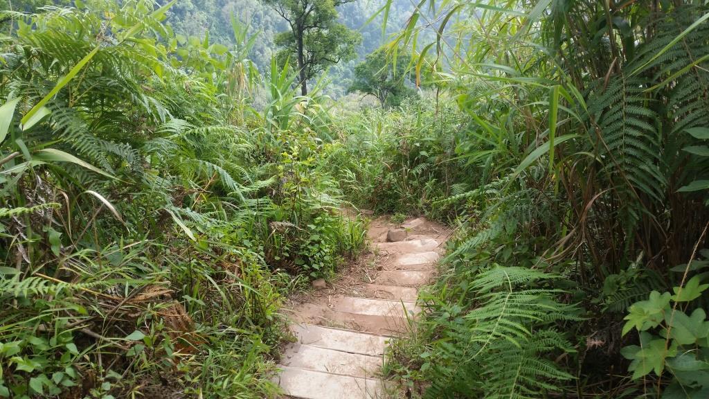 2018-11-27 13.37.43.jpg