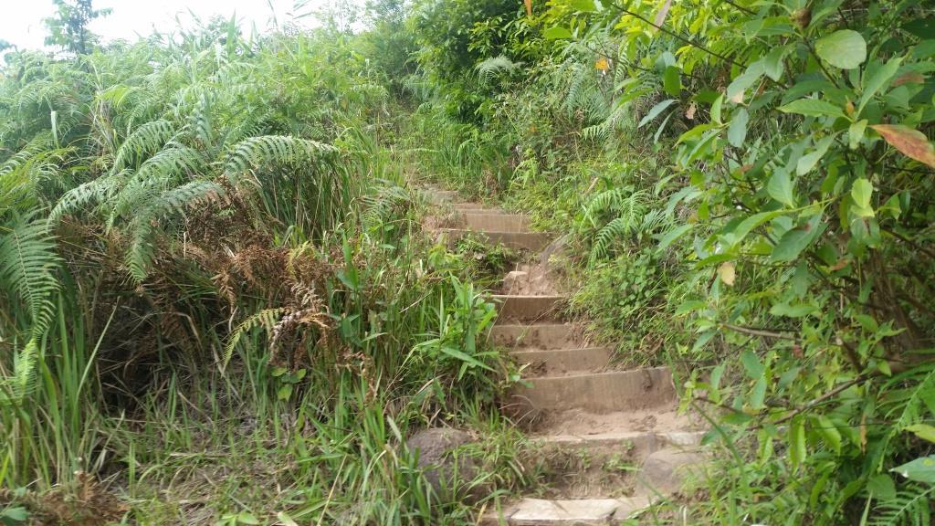 2018-11-27 13.37.51-1.jpg