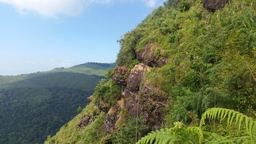 2018-11-27 13.44.49-1.jpg