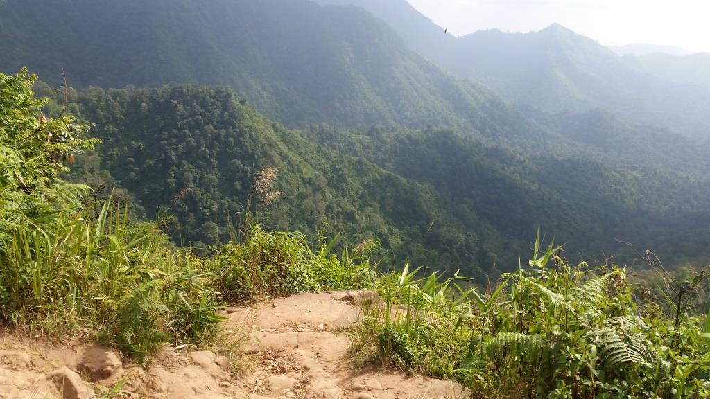 2018-11-27 13.45.01-1.jpg