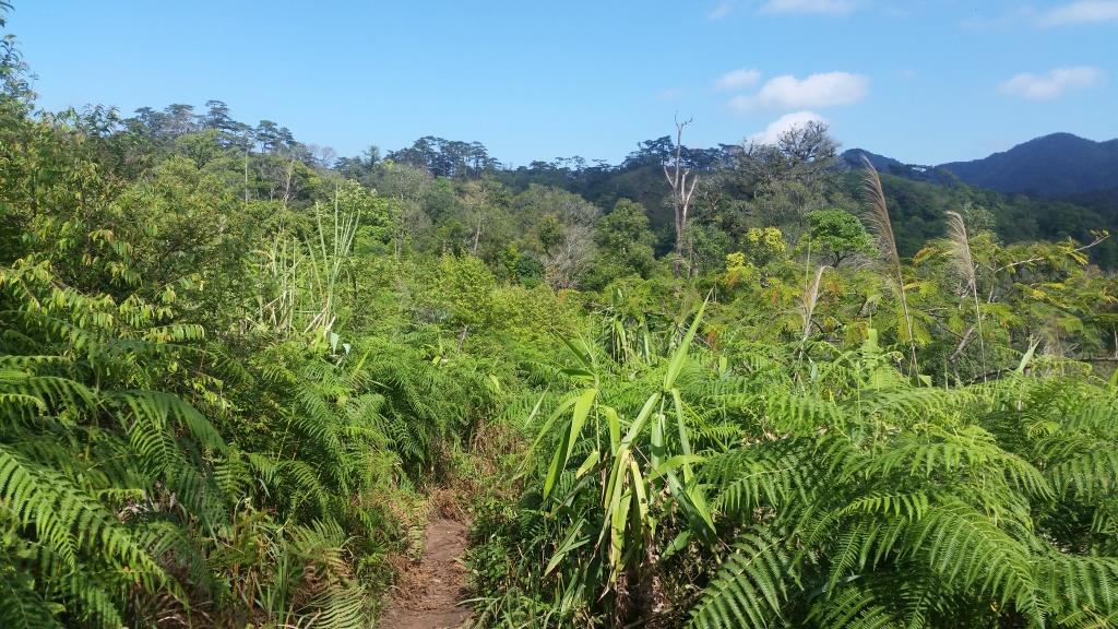 2018-11-27 13.51.37-1.jpg