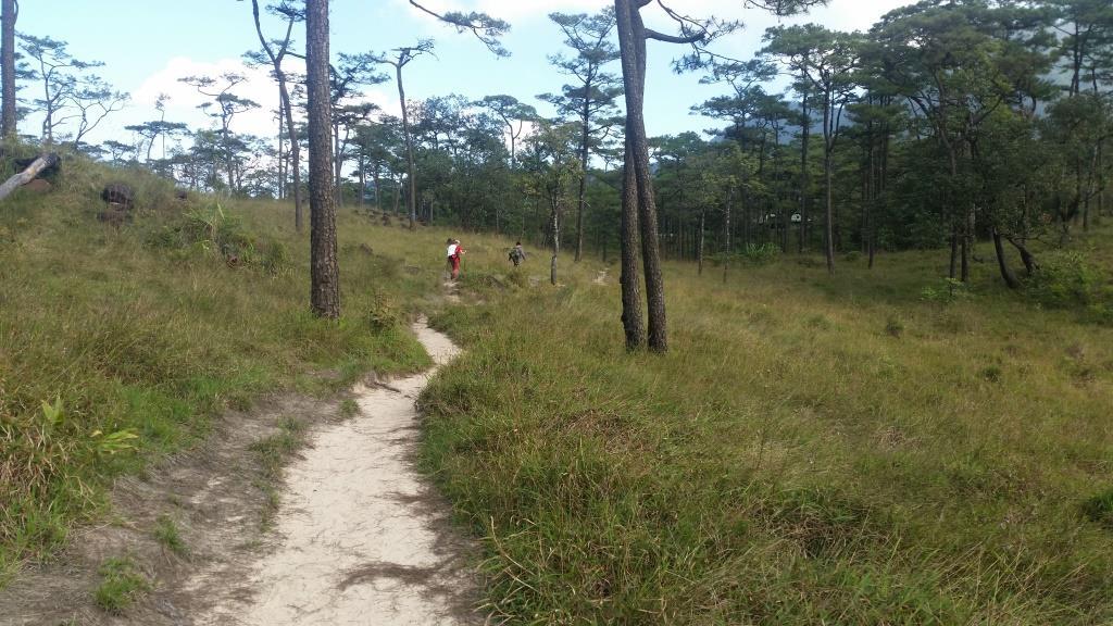 2018-11-27 14.17.29-1.jpg