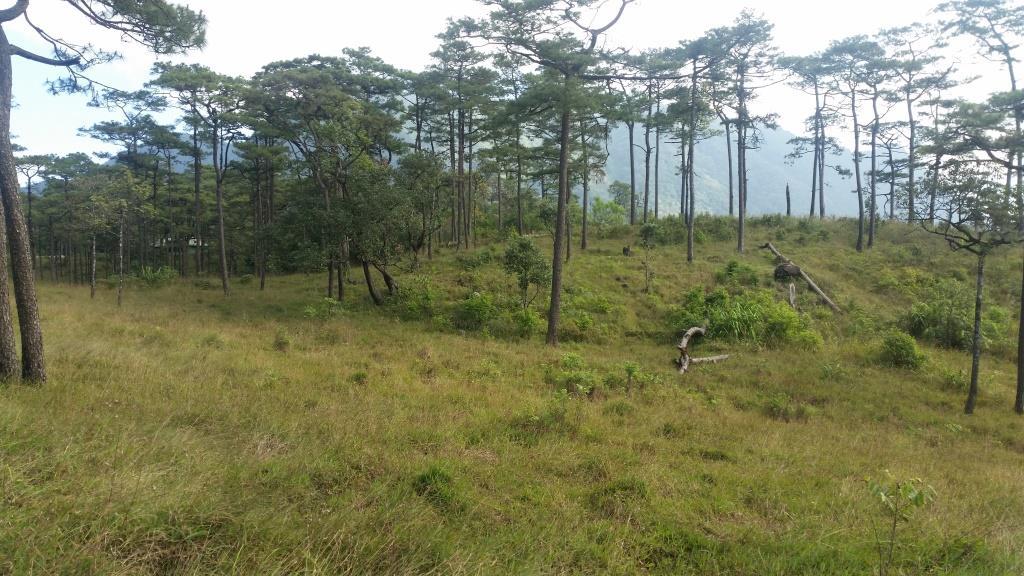 2018-11-27 14.17.32.jpg