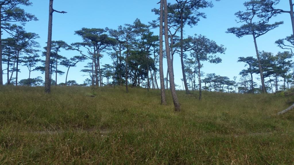 2018-11-27 14.17.37-1.jpg