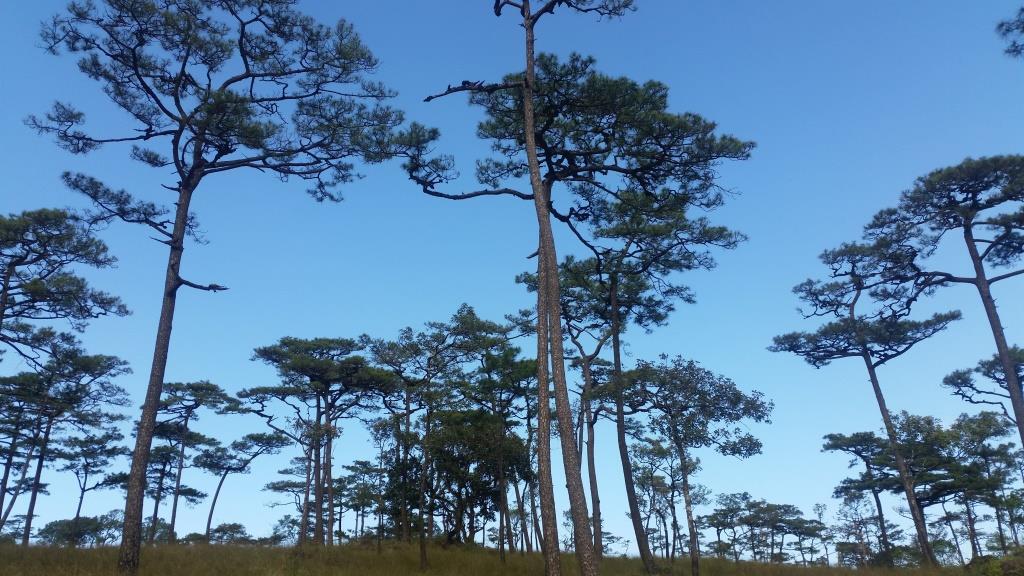 2018-11-27 14.17.45-1.jpg