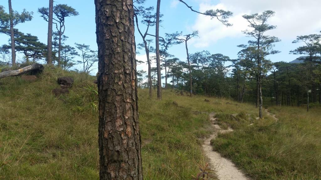 2018-11-27 14.18.07-1.jpg