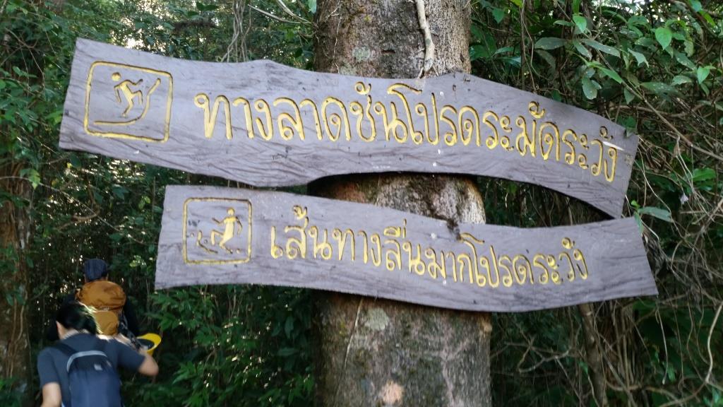 2018-11-28 08.50.41.jpg