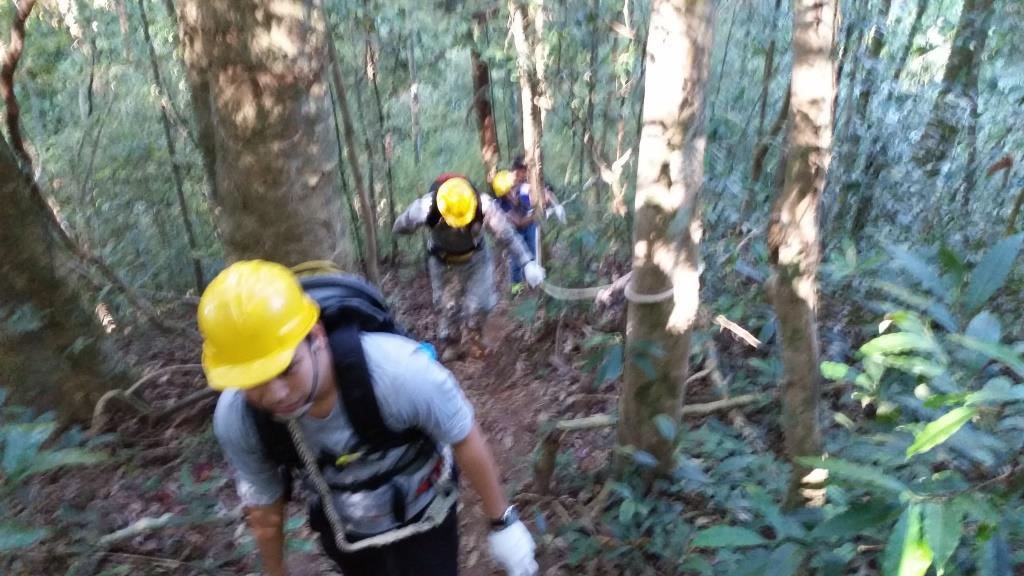 2018-11-28 09.06.43-1.jpg