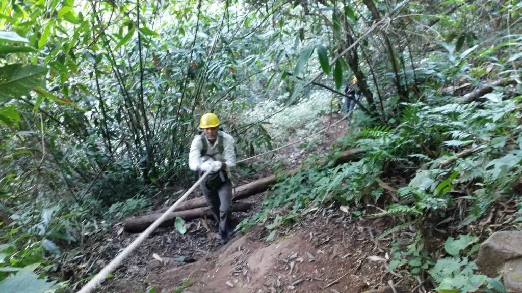 2018-11-28 09.24.56.jpg