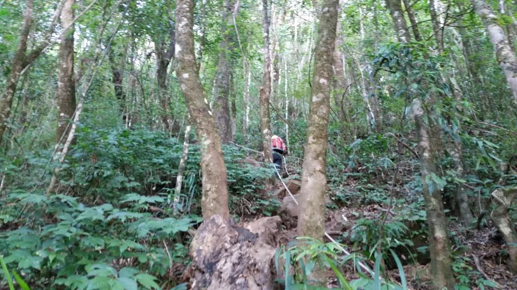 2018-11-28 09.32.48.jpg