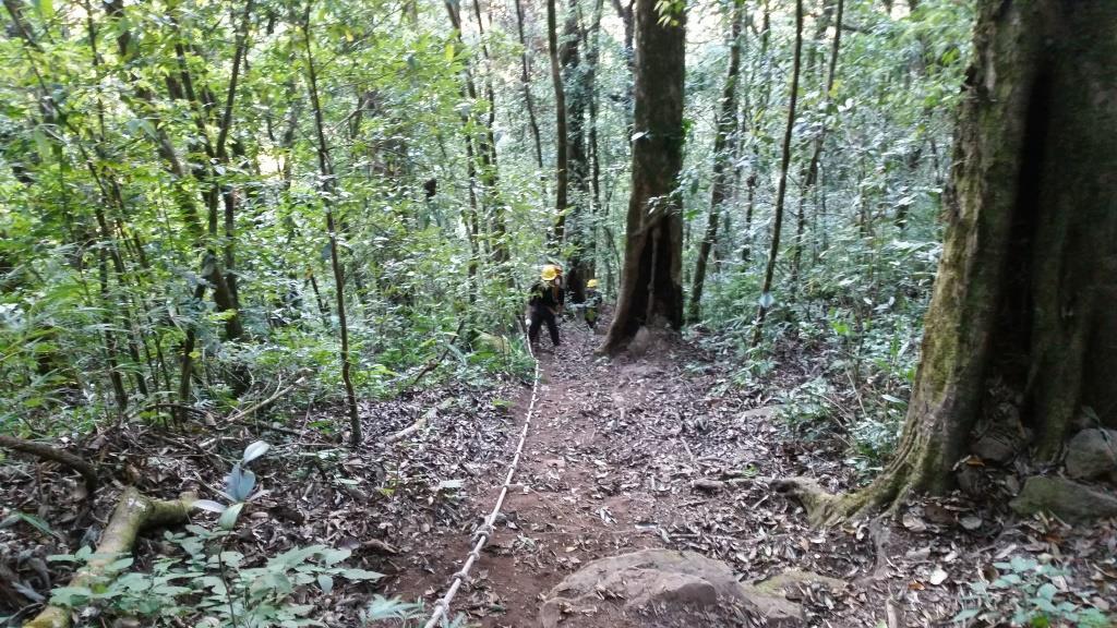 2018-11-28 09.38.05.jpg