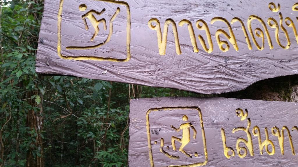 2018-11-28 14.33.30.jpg