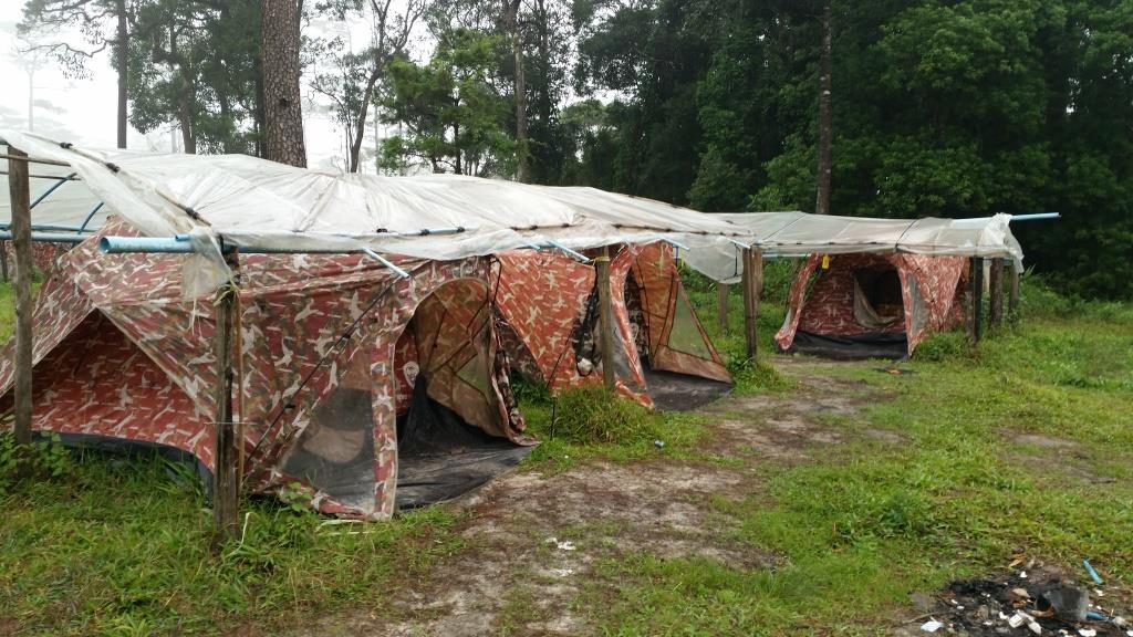 2018-11-28 15.20.51.jpg