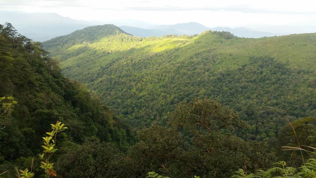 2018-11-29 08.15.40.jpg