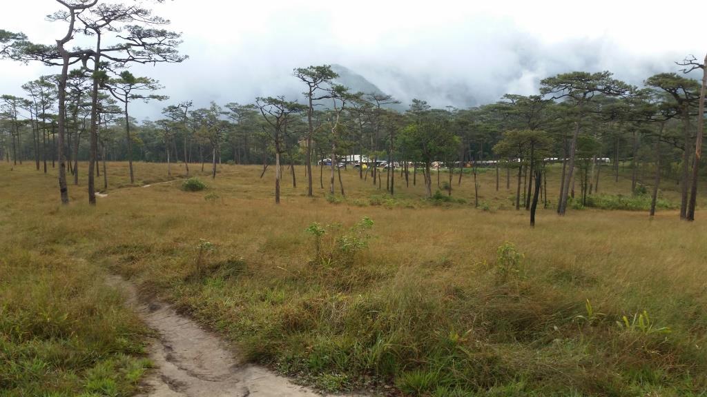 2018-11-29 08.16.07.jpg