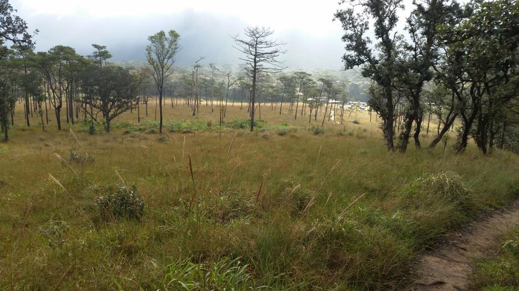 2018-11-29 08.25.11.jpg