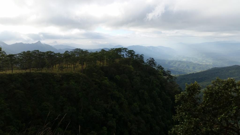 2018-11-29 08.26.27.jpg