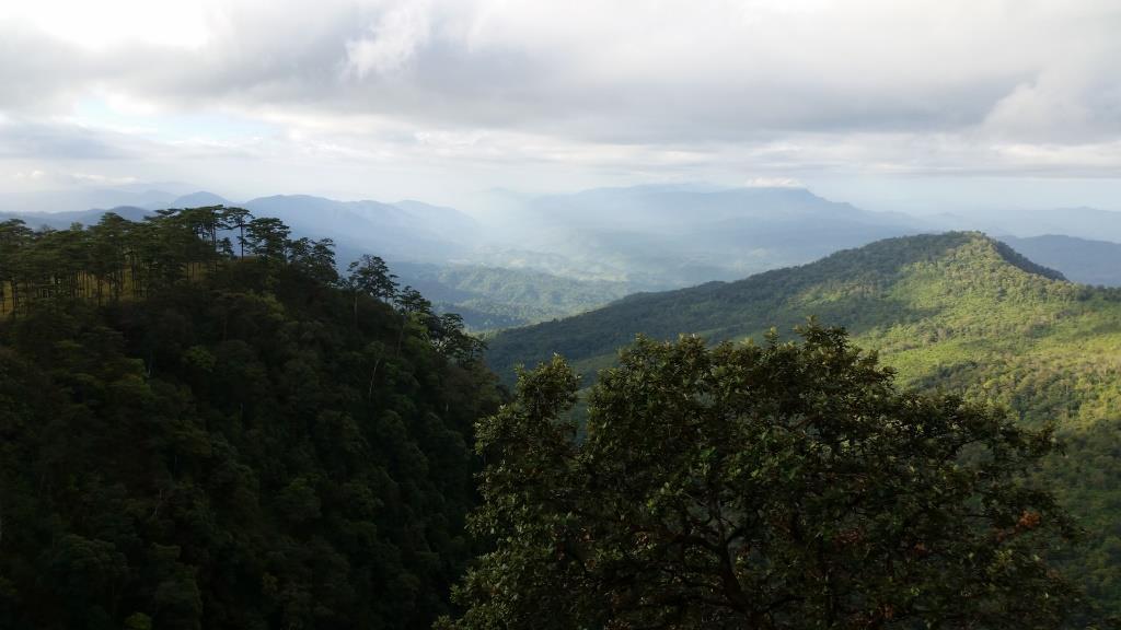 2018-11-29 08.26.34.jpg