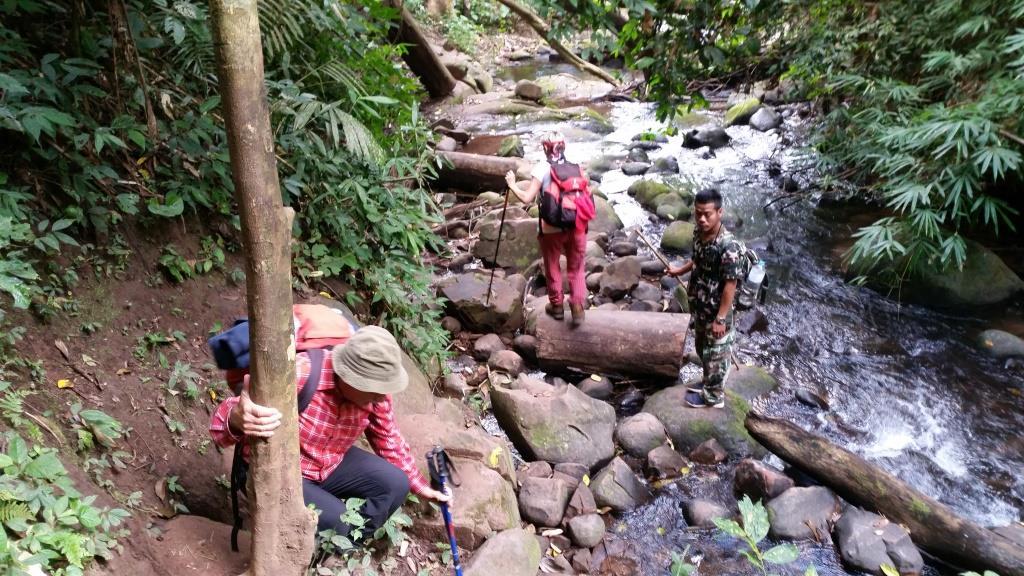 2018-11-29 11.35.49.jpg