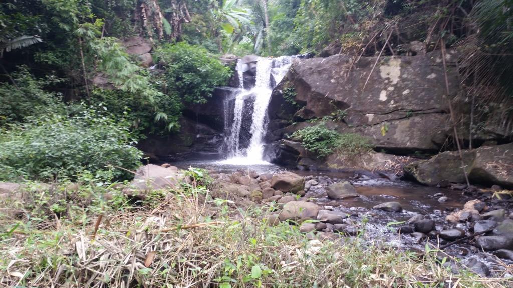 2018-11-29 11.58.04.jpg