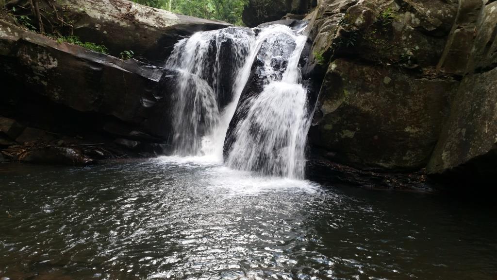 2018-11-29 12.11.16.jpg