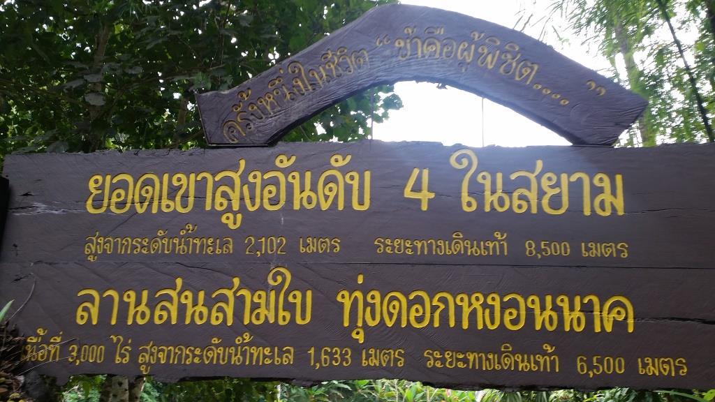 2018-11-29 12.33.27.jpg