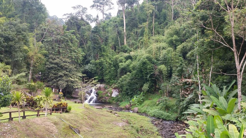 2018-11-29 12.47.32.jpg