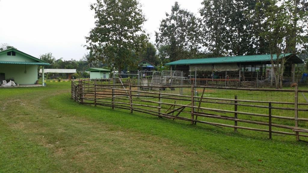 2018-12-08 13.10.32.jpg 2018-12-08 13.10.32.jpg