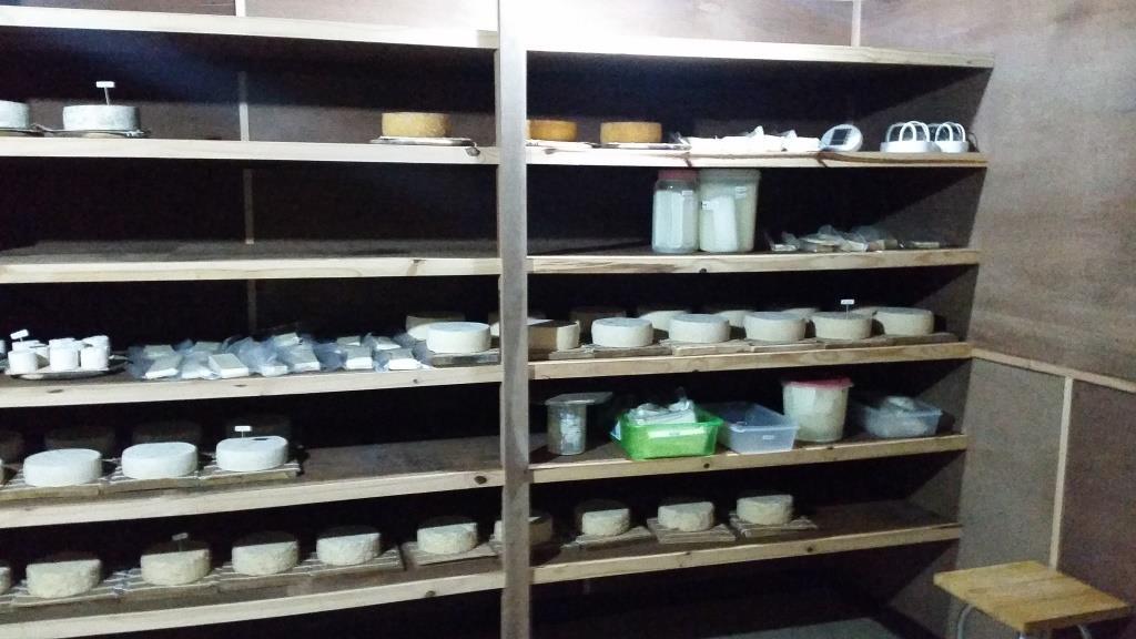 2018-12-08 13.36.24.jpg 2018-12-08 13.36.24.jpg