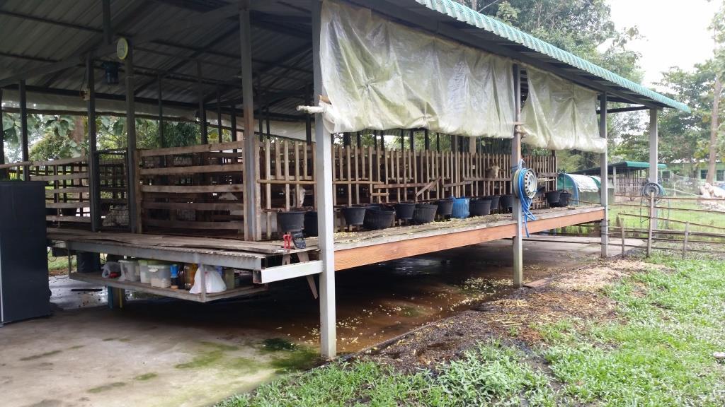 2018-12-08 14.08.11.jpg 2018-12-08 14.08.11.jpg