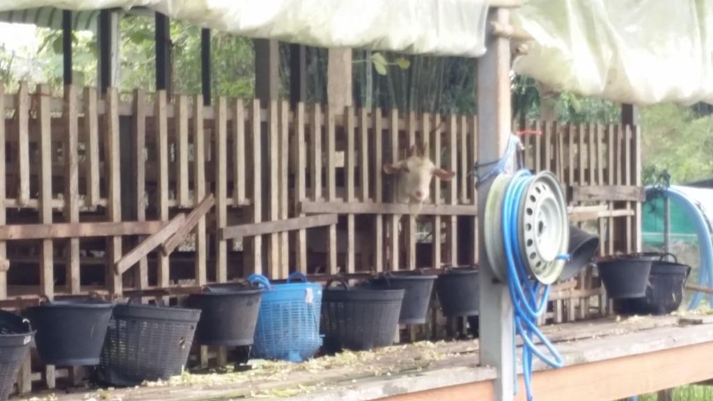 2018-12-08 14.08.16.jpg 2018-12-08 14.08.16.jpg