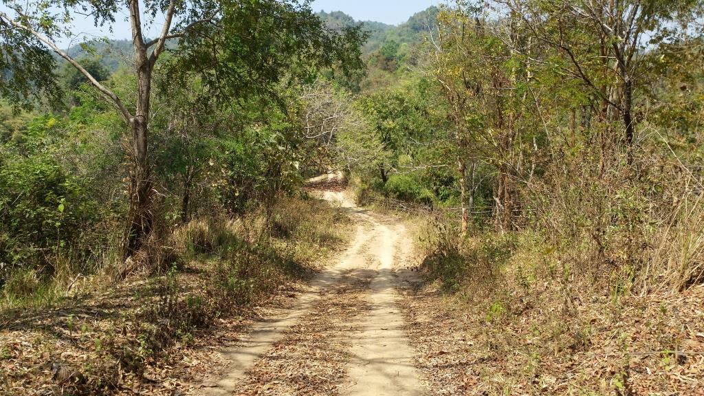 2019-03-06 11.37.33.jpg