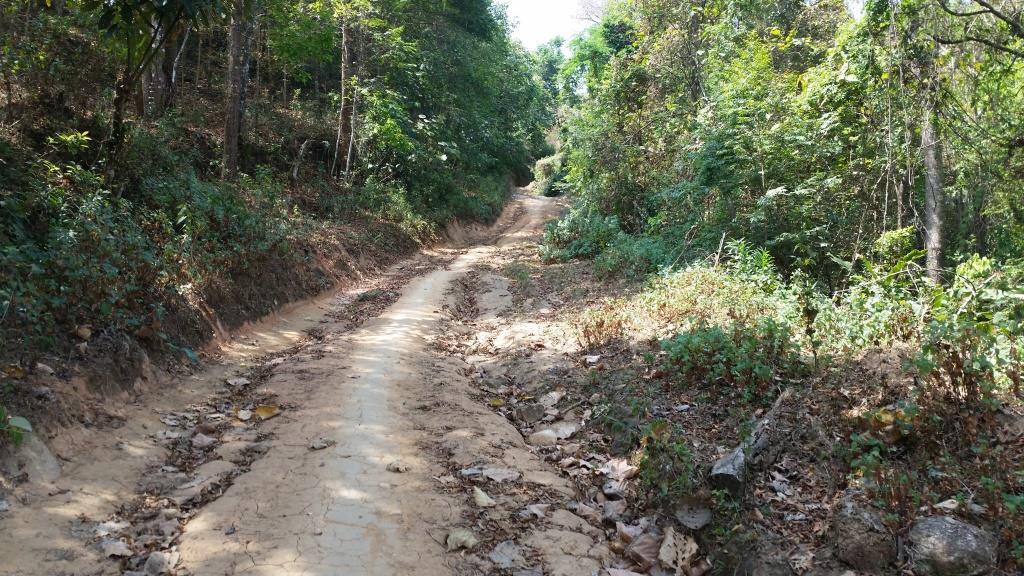 2019-03-06 11.53.14.jpg