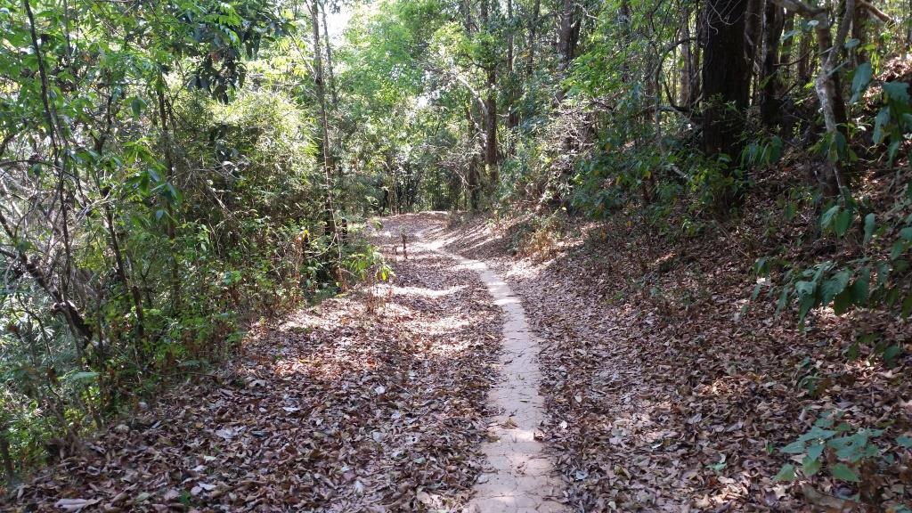 2019-03-06 12.17.35.jpg