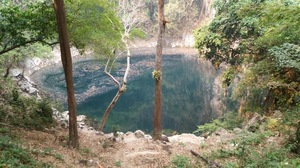 2019-03-23 09.52.53.jpg