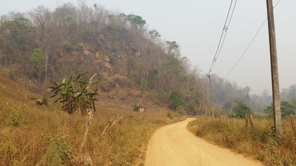 2019-03-23 10.35.38.jpg