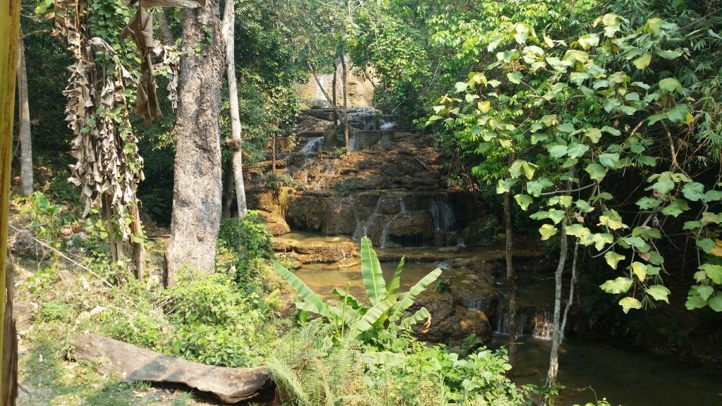 2019-03-23 10.41.40.jpg