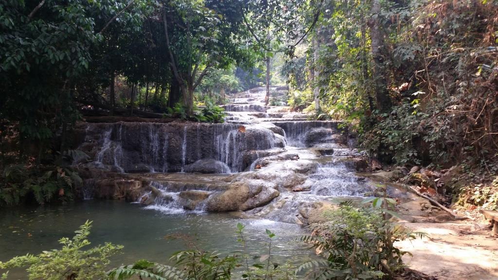 2019-03-23 10.52.14.jpg