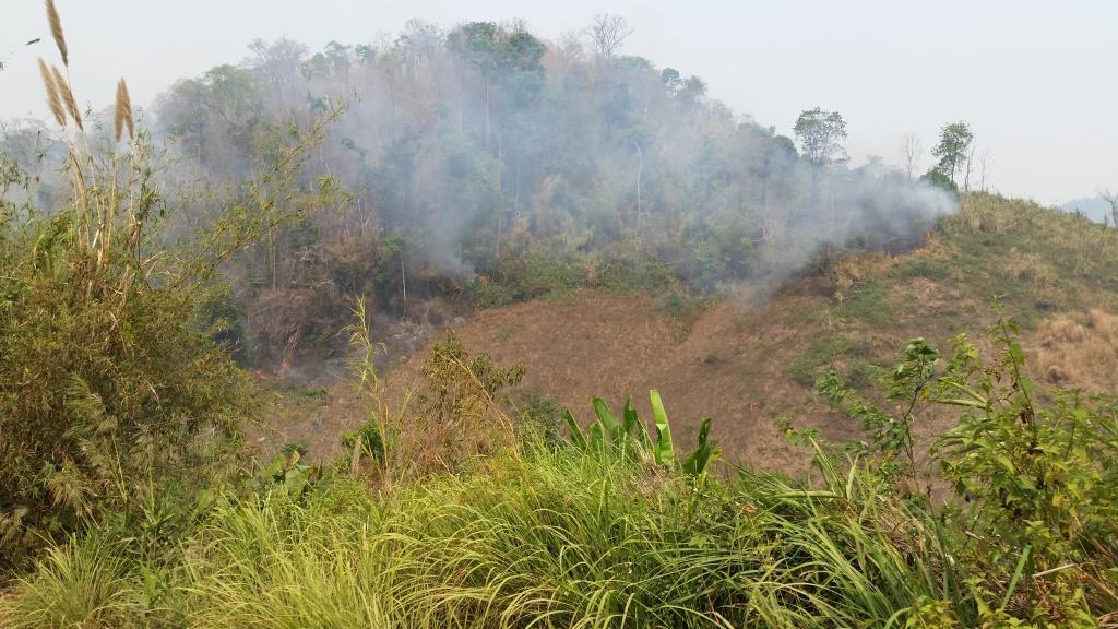 2019-03-23 11.12.34.jpg