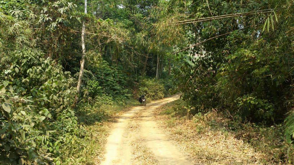 2019-03-23 11.20.31.jpg