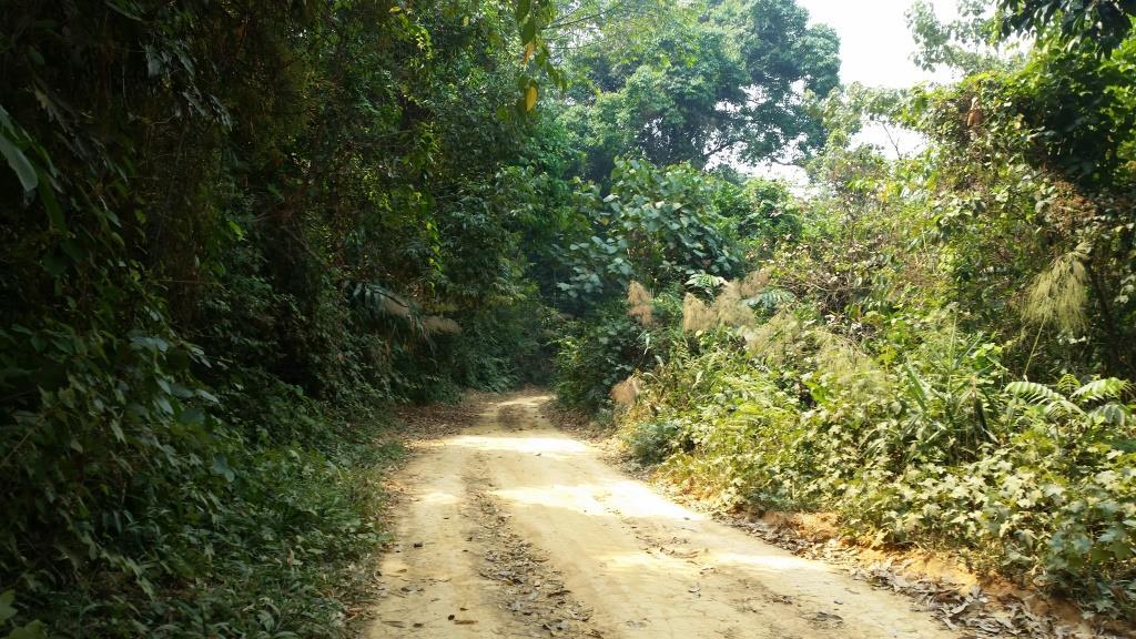 2019-03-23 11.26.30.jpg