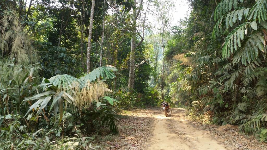 2019-03-23 11.28.34.jpg